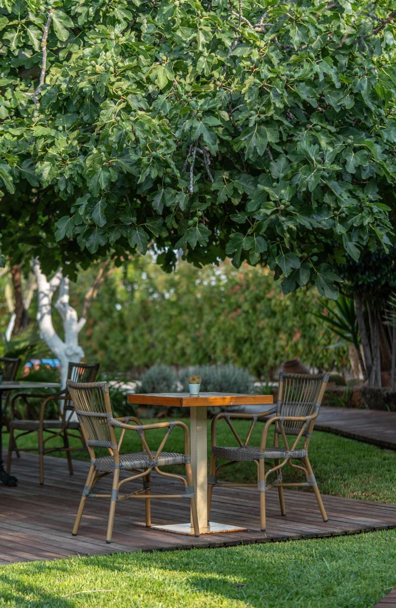 Boho Suites Denia (Adults Only) Εξωτερικό φωτογραφία
